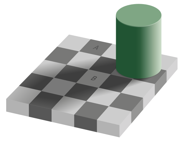 checker shadow illusion